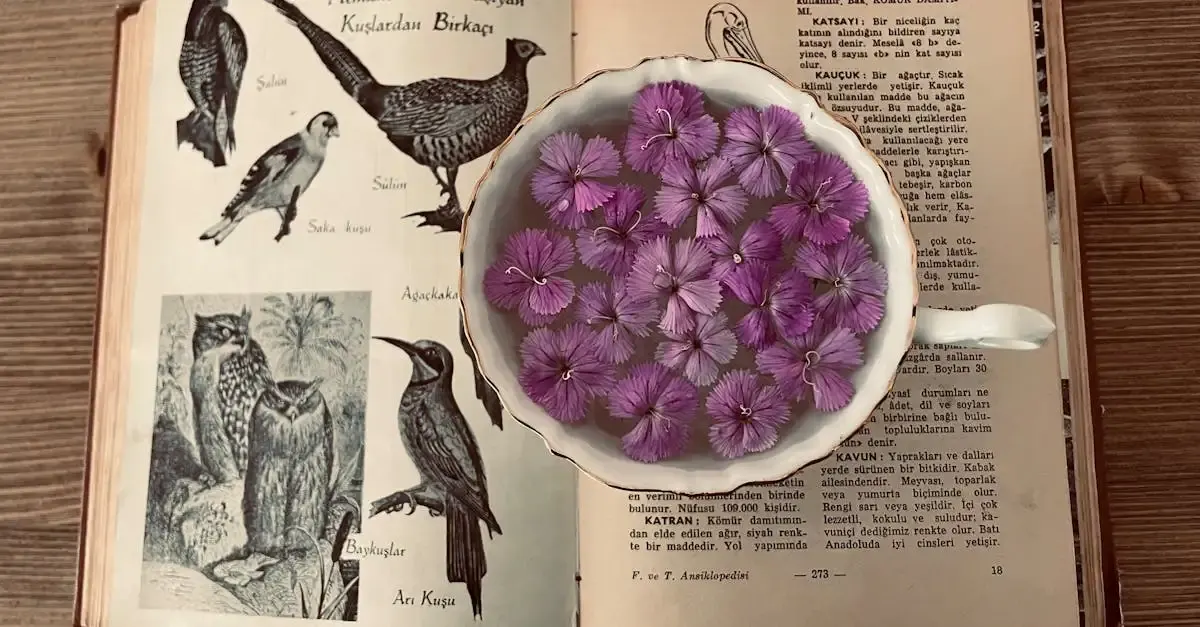 Carnet de voyage : Récits et illustrations captivants