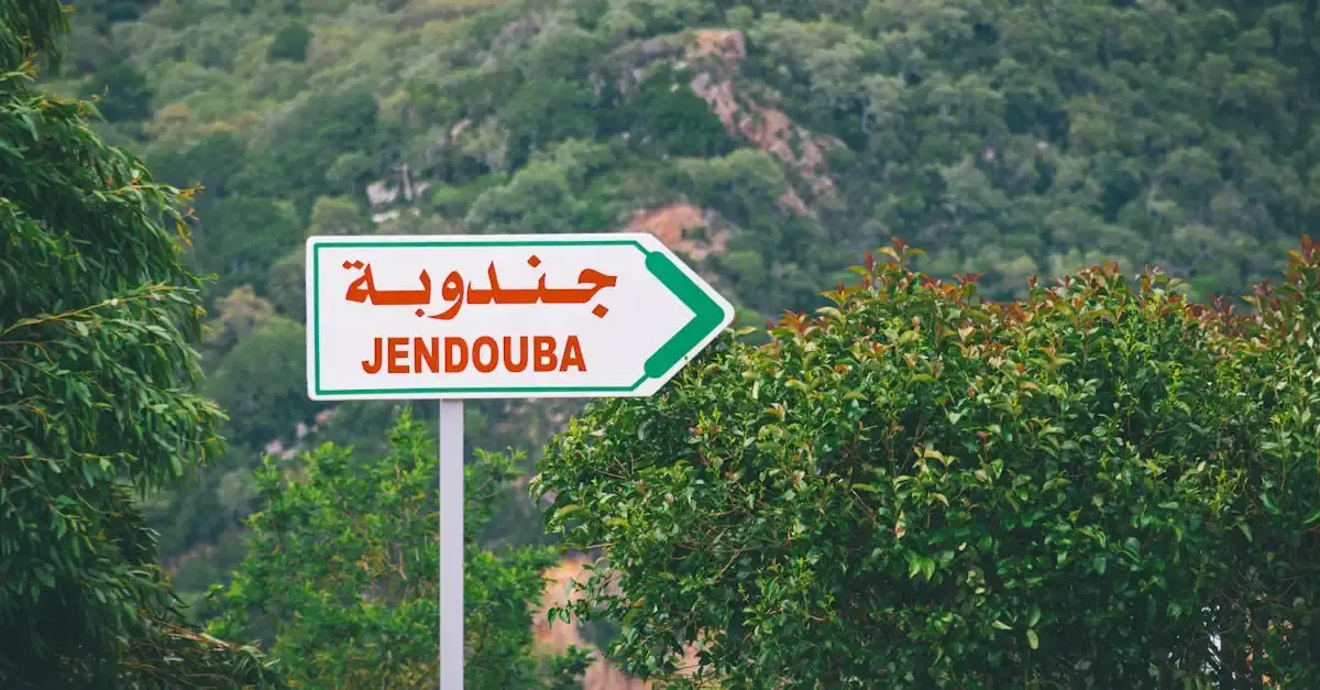 Carnet de voyage Tunisie : Votre appli pour explorer le pays