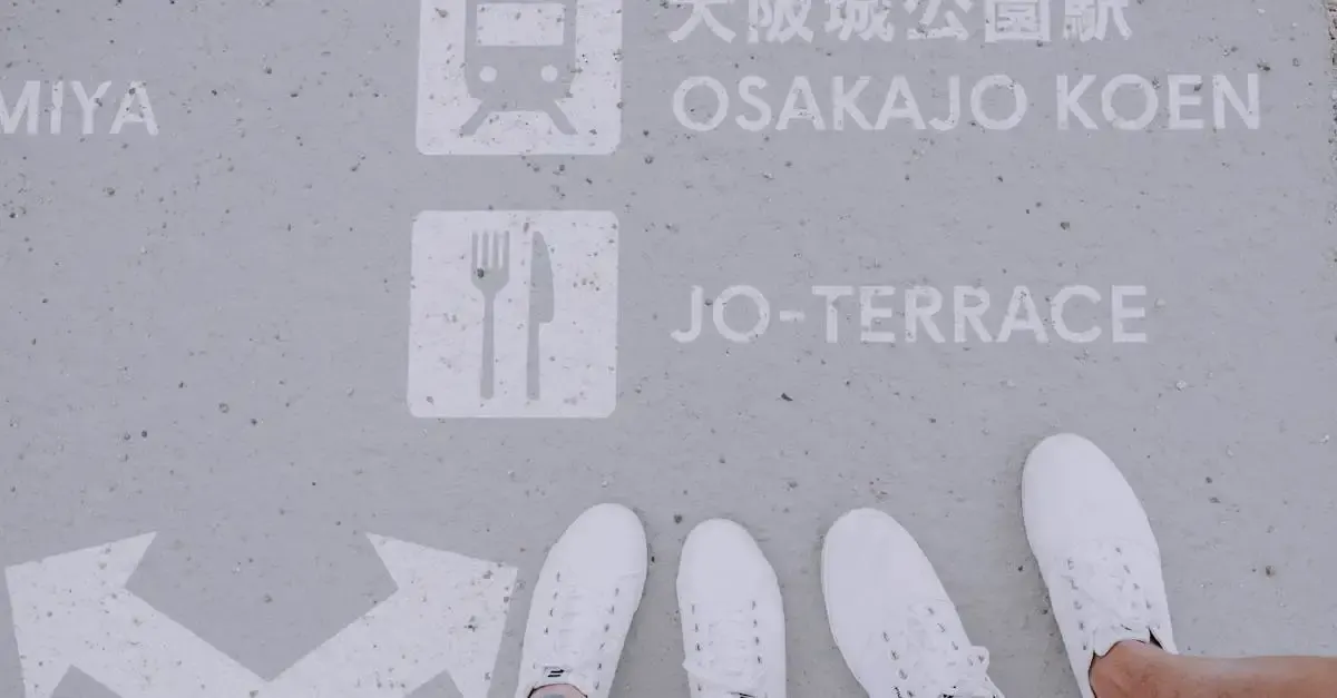 Carnet de voyage au Japon : Que faire et voir ?