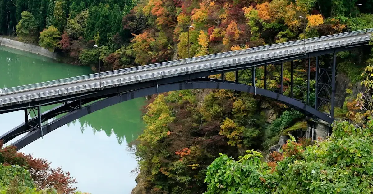 Carnet de voyage au Japon : Découvrez le streaming complet