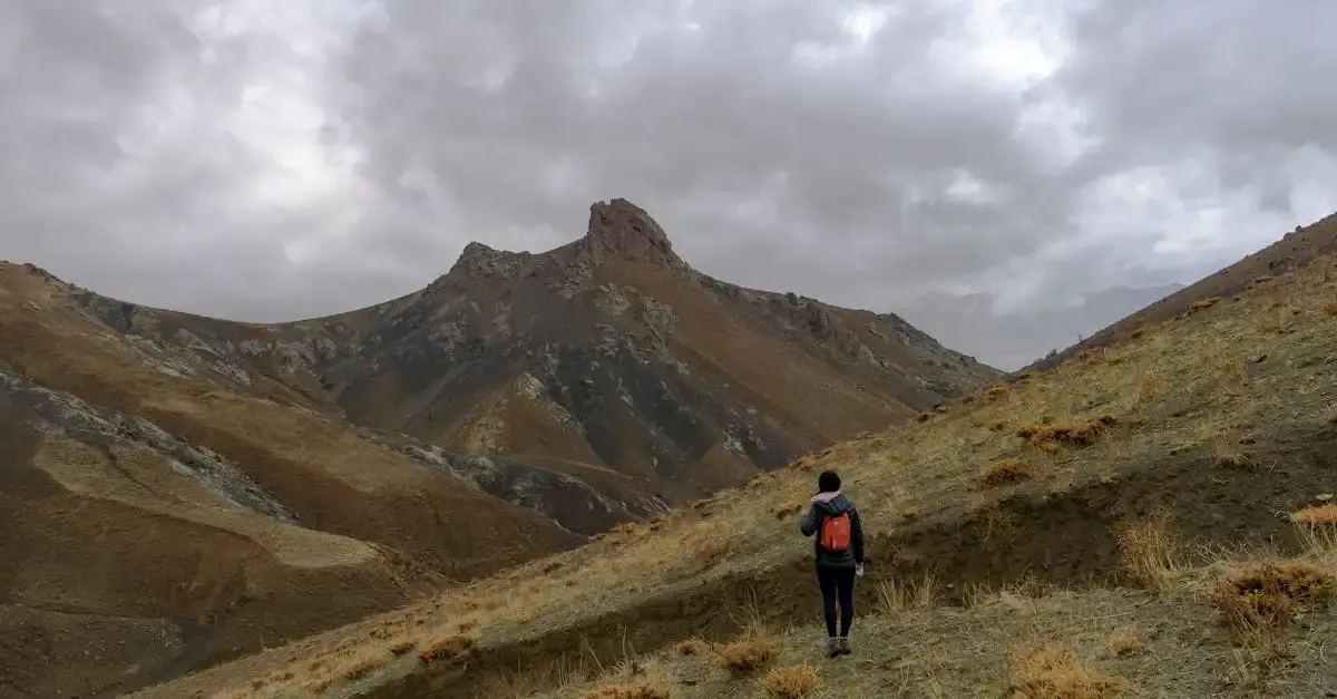 Carnet de voyage au Tibet : Aventure et découverte