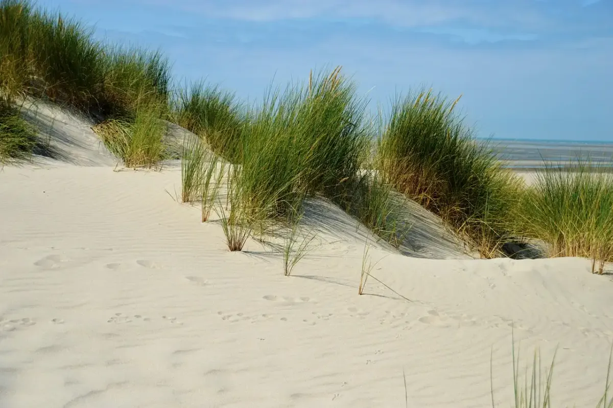 Carnet de voyage le touquet