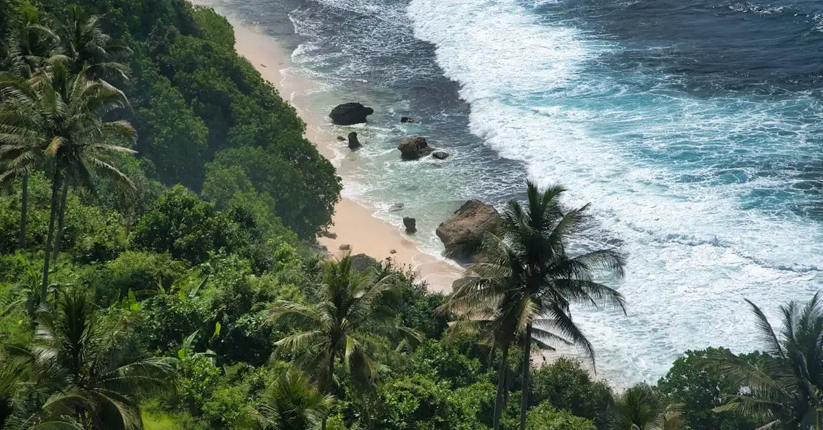 Carnet de voyage à Bali : conseils et astuces pour votre séjour