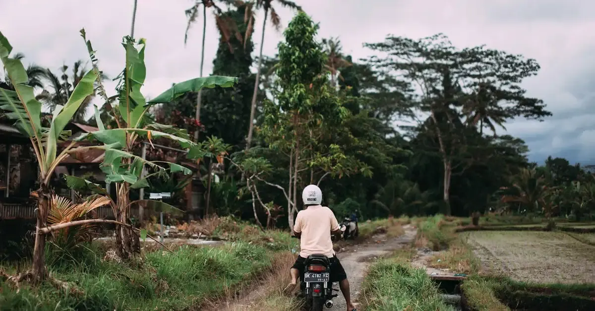 Carnet de voyage à Bali en scooter : Aventure et découvertes