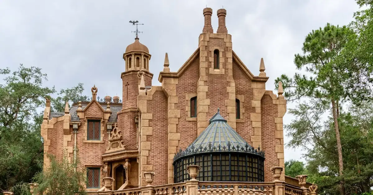 Carnet de Voyage Disneyland Paris : Conseils et Souvenirs