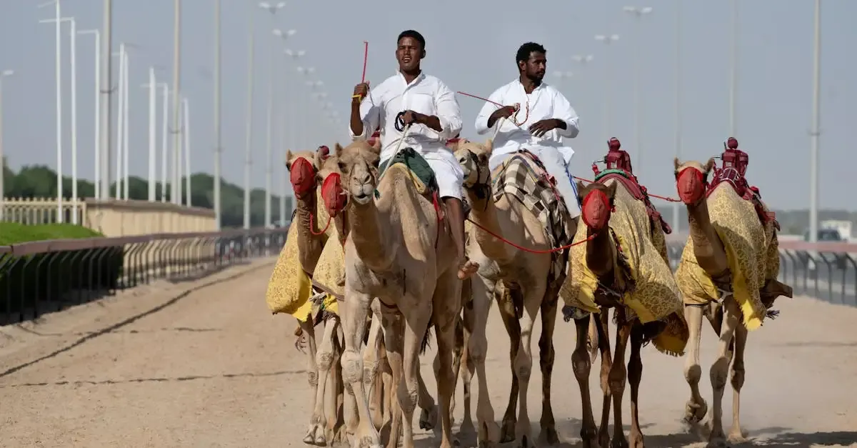 Carnet de voyage Émirats Arabes Unis : Conseils et