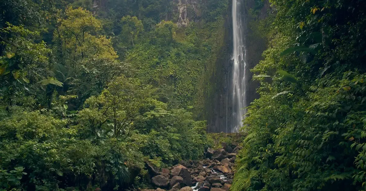 Carnet de voyage guadeloupe