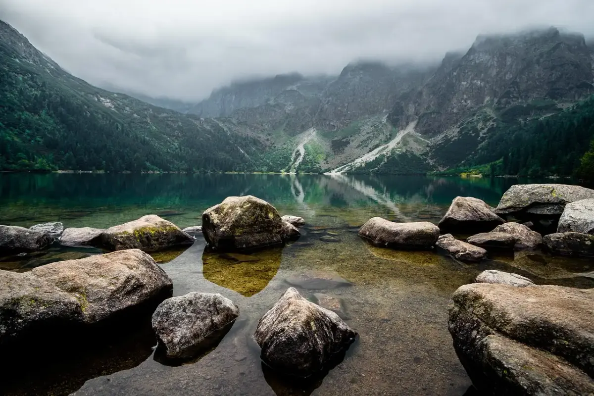 Nature et decouverte carnet de voyage