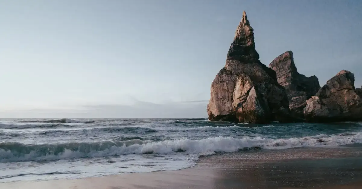 Carnet de voyage : Parc Naturel de Sintra-Cascais