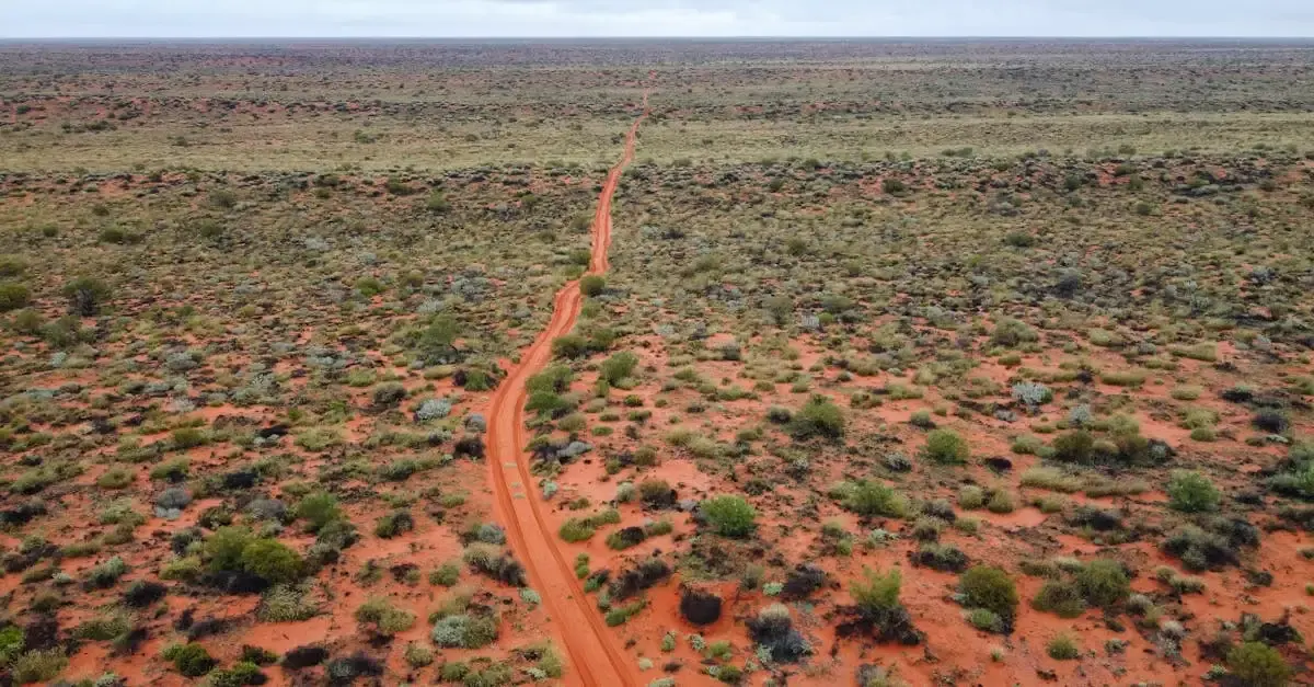 Carnet de voyage au Queensland : Aventures et découvertes