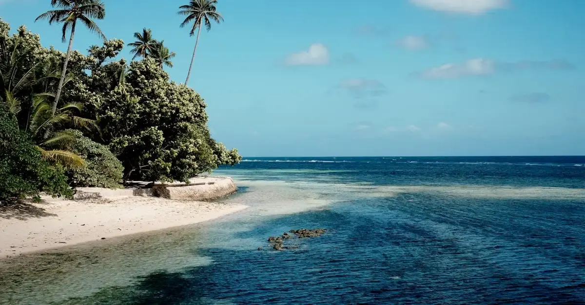 Carnet de voyage aux Raja Ampat : Aventure et découverte
