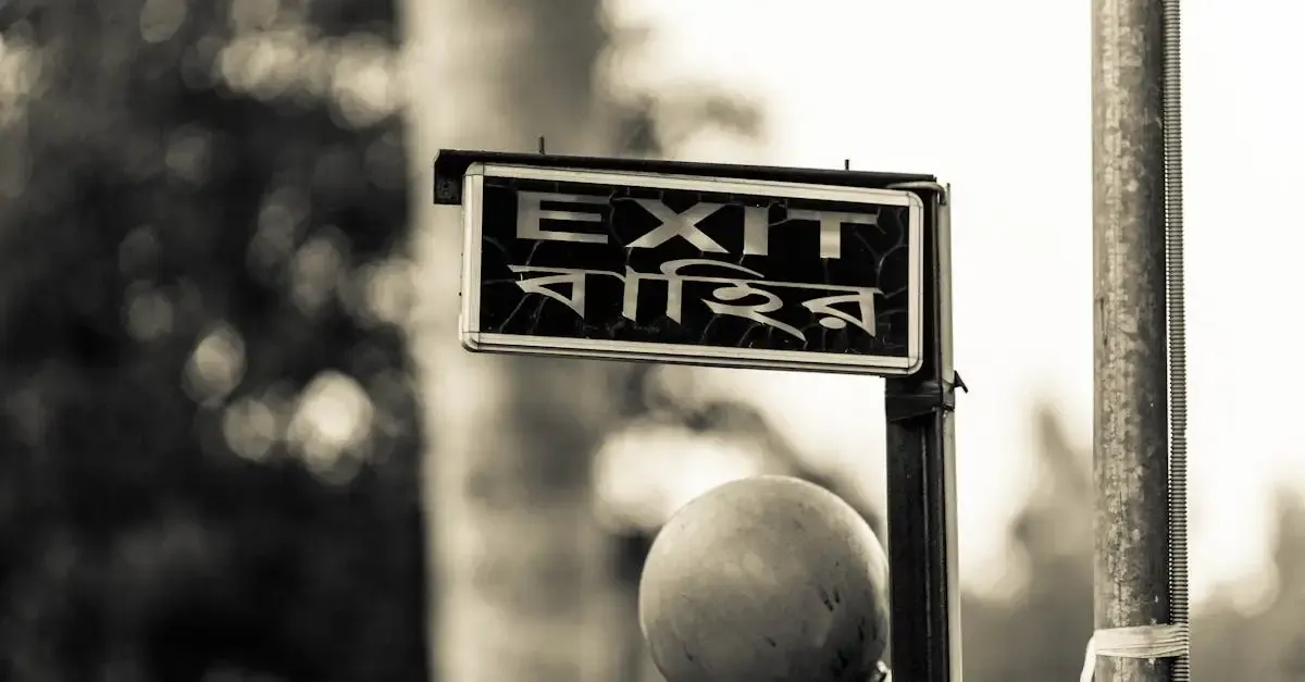 Traduction de carnets de voyage : astuces et guide pratique