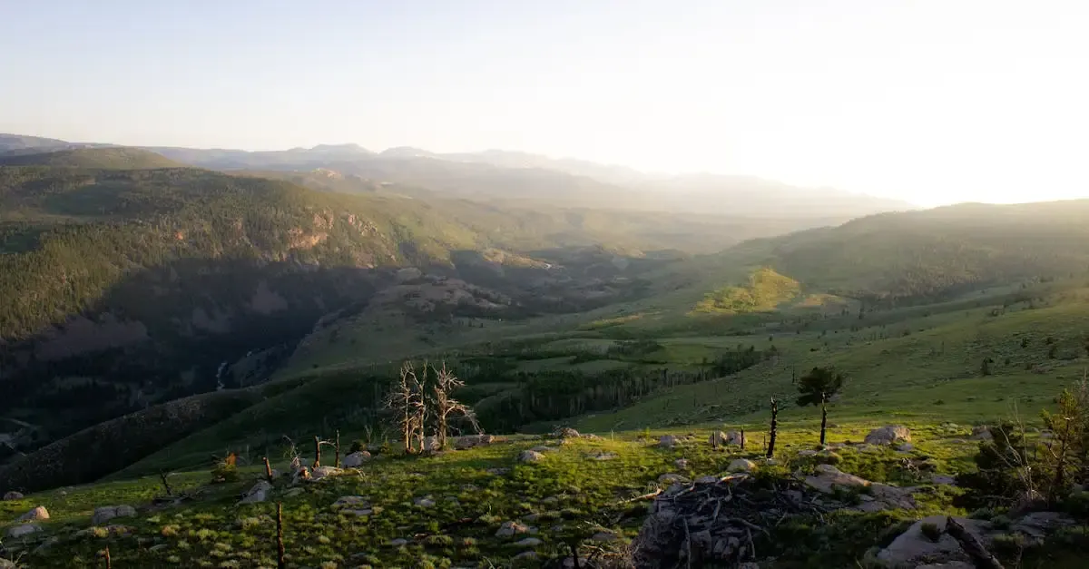 Carnet de voyage Wyoming : Aventure et paysages de l'Ouest