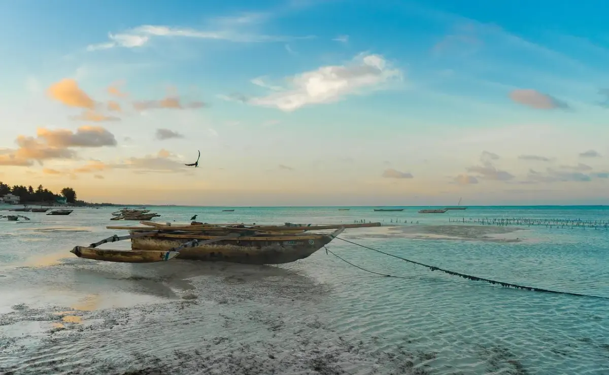 Carnet de voyage tanzanie zanzibar 2019