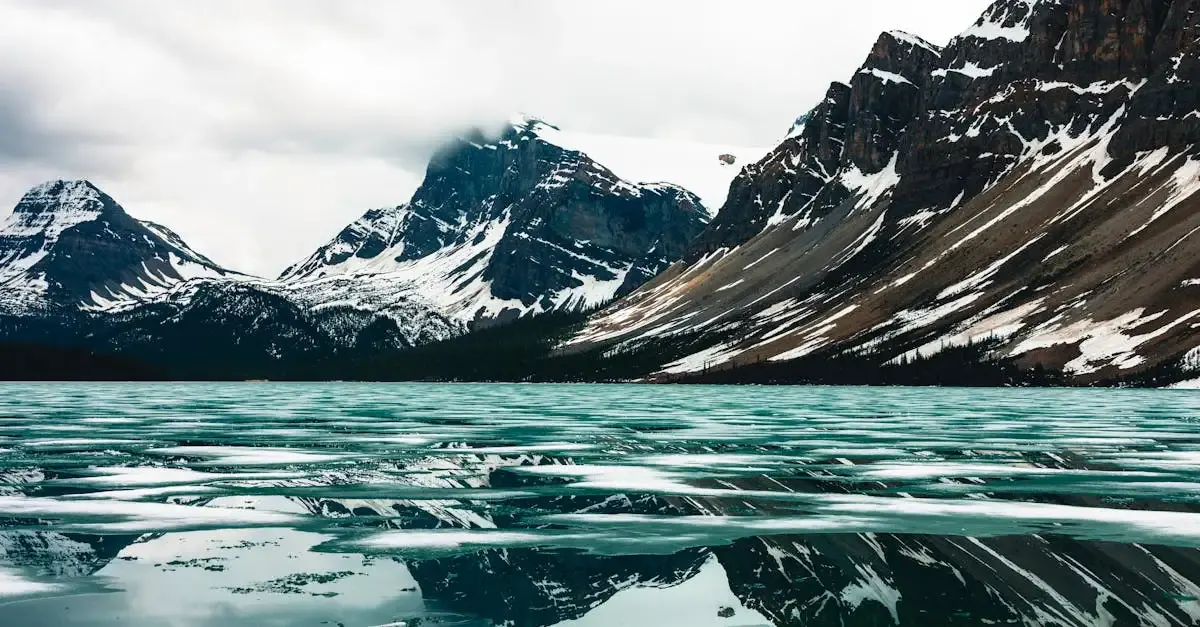 Récits de voyage : Aventures et réflexions personnelles