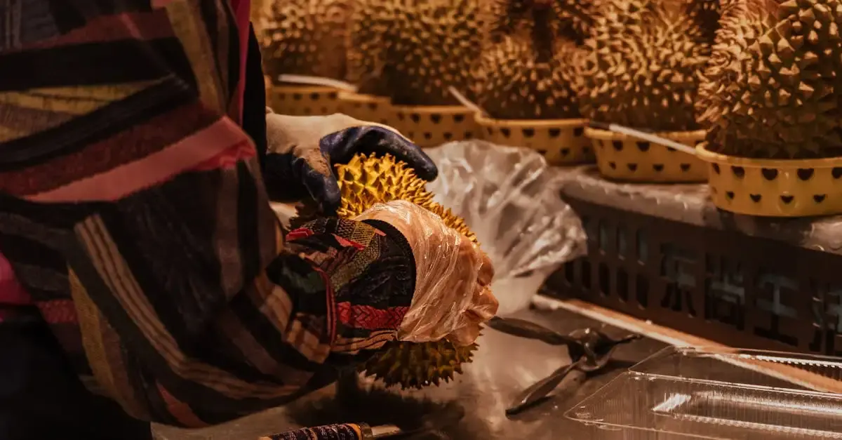Blogs et carnets de voyage thailande avygeo