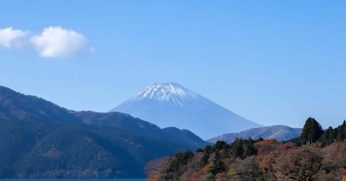 Carnet de voyage au japon conseils