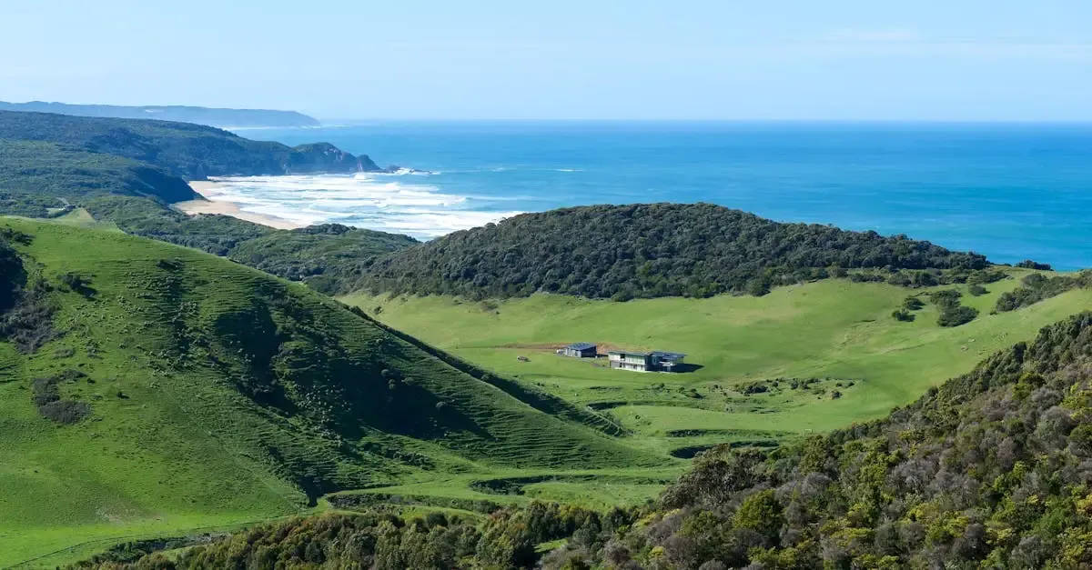 Carnet de voyage au Queensland : Aventures et découvertes