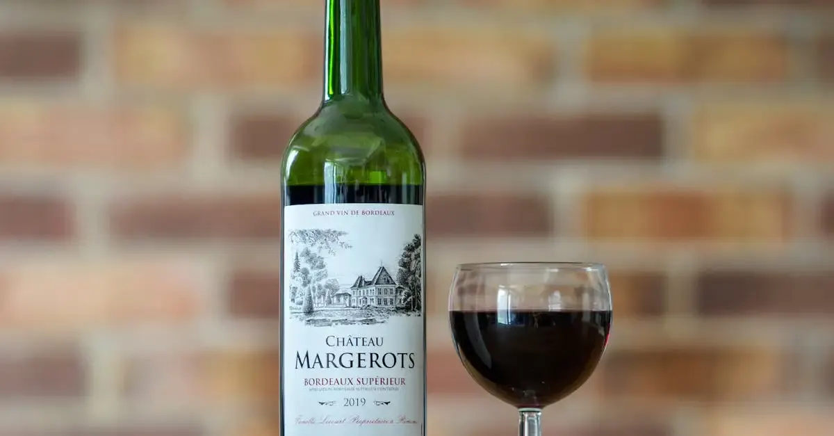 Carnet de voyage bordeaux 2019