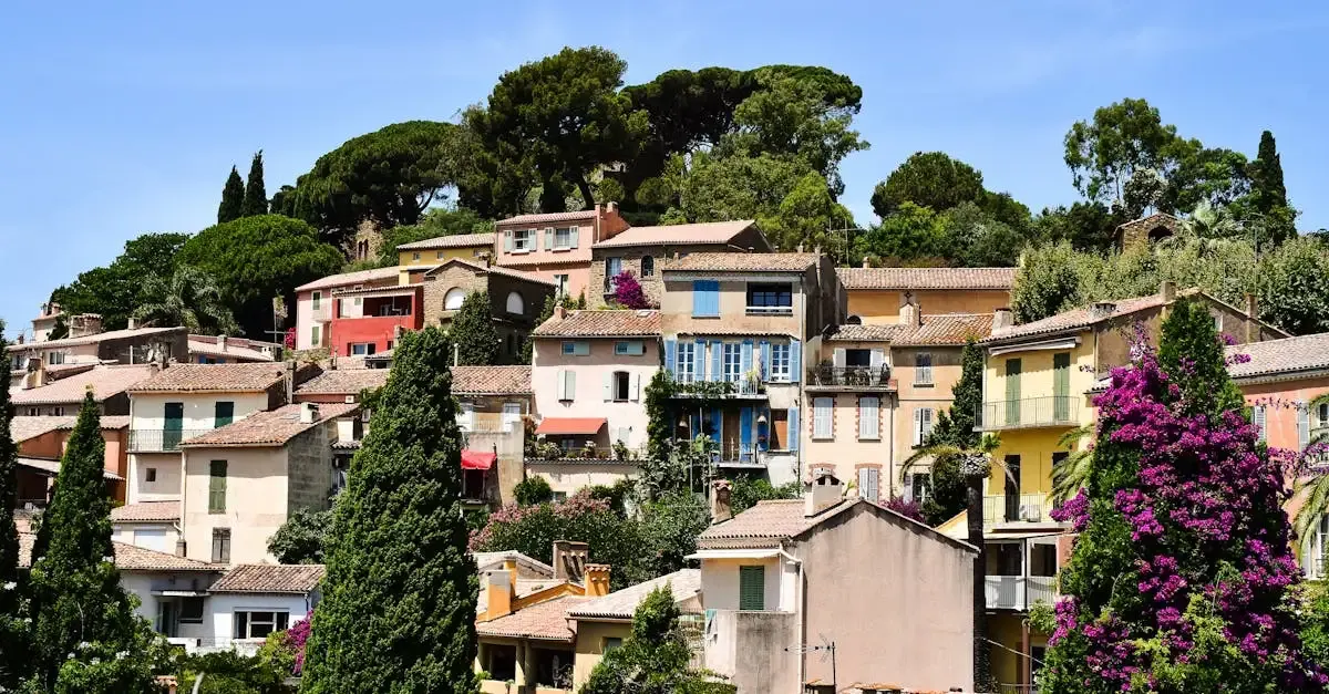 Carnet de voyage bormes les mimosas