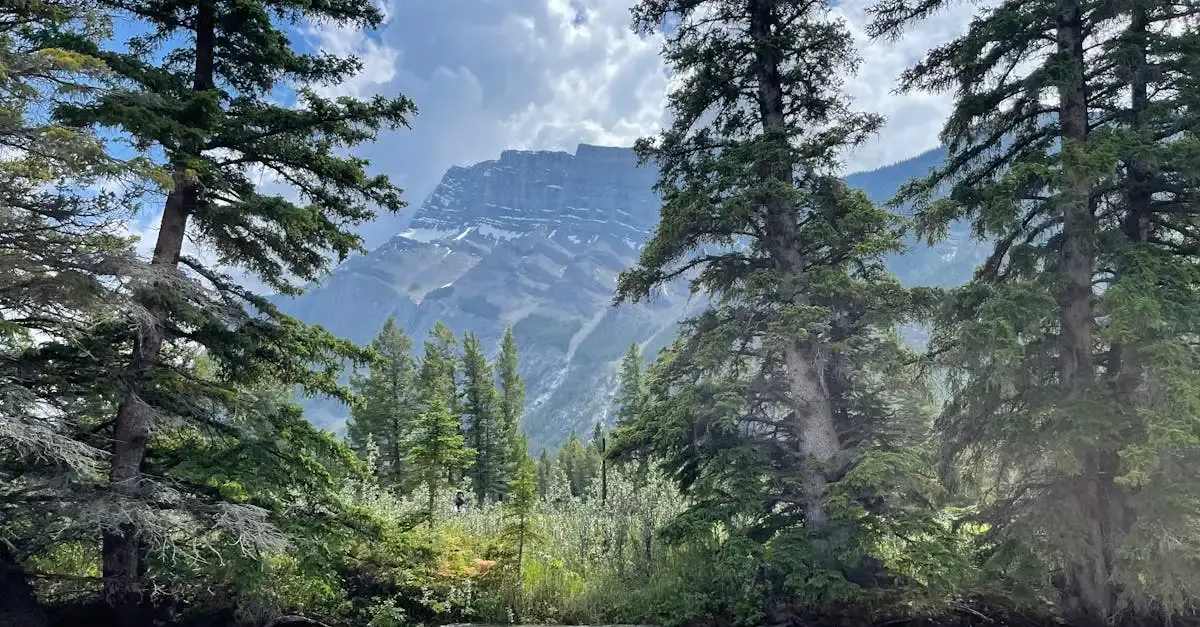 Carnet de voyage canadien : l'exploration du monde