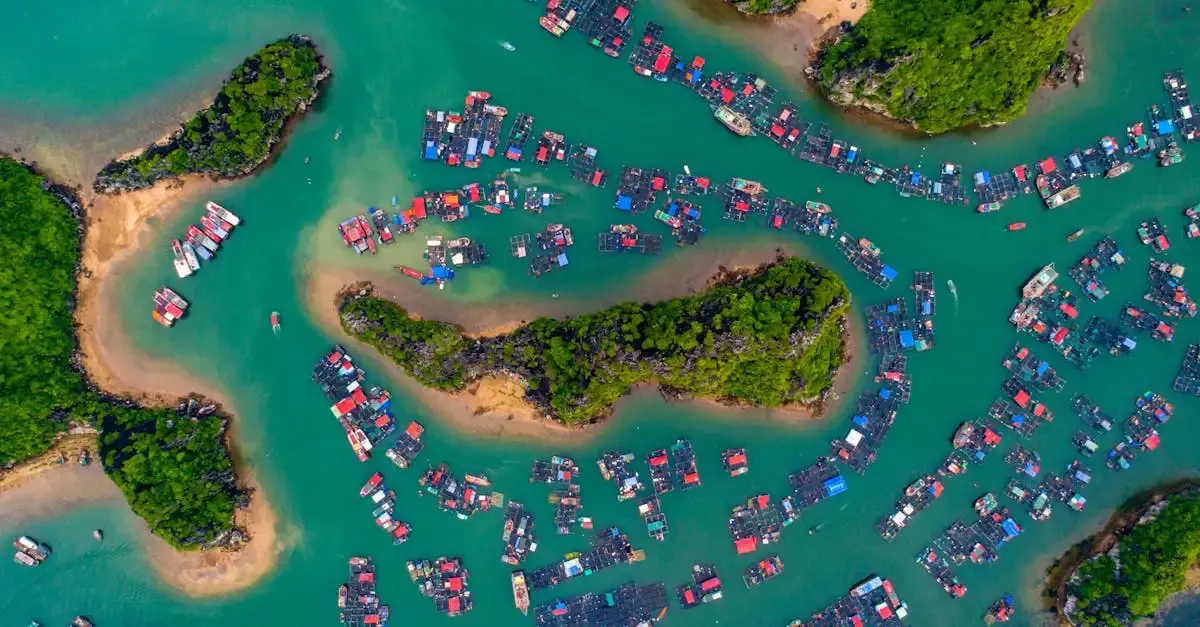 Carnet de voyage : Découvrez les îles et cultures des