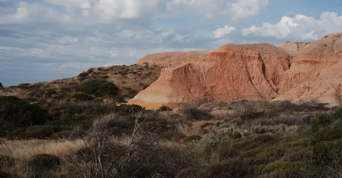 Carnet de voyage en Australie : Souvenirs et Aventures de