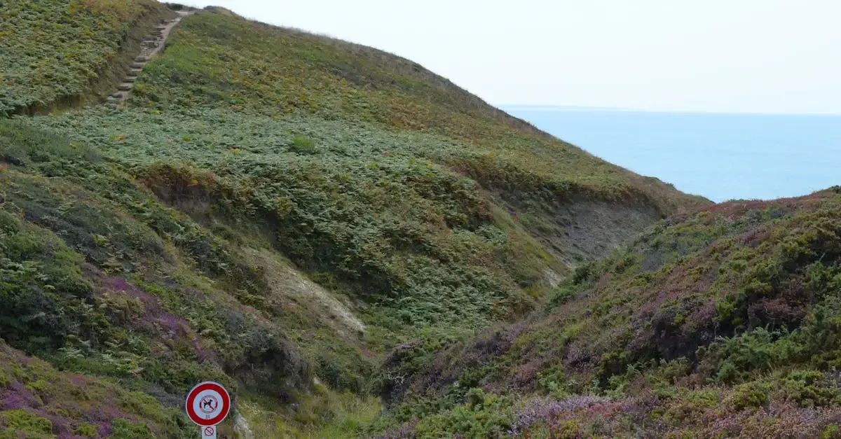 Carnet de voyage en camping-car : Aventures en Bretagne