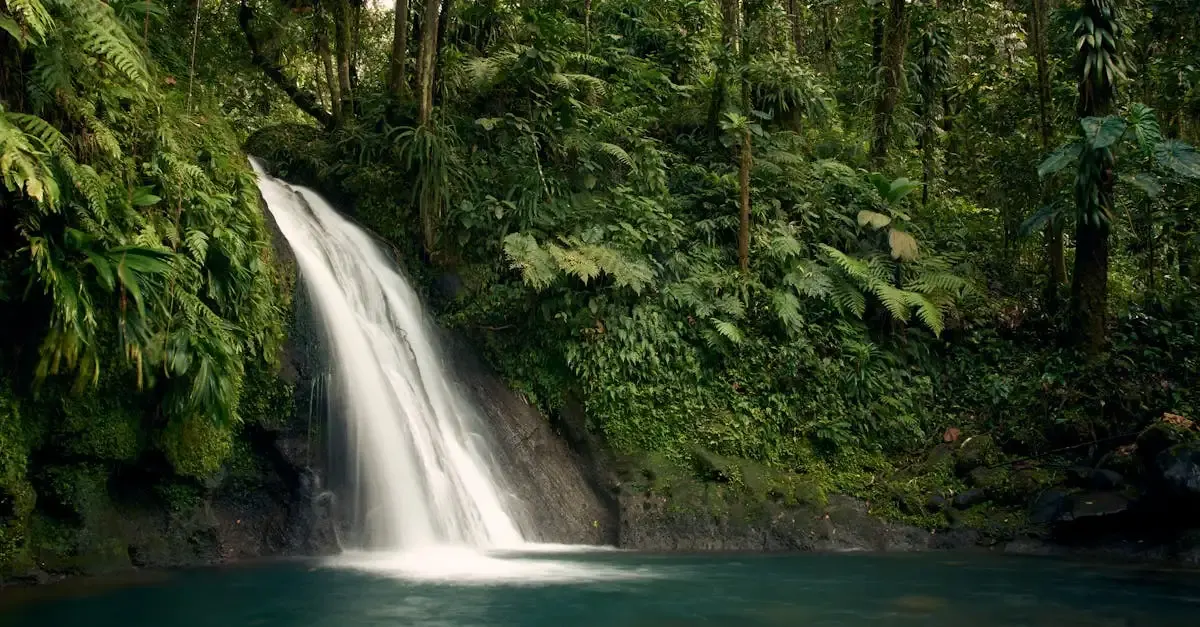 Carnet de voyage guadeloupe