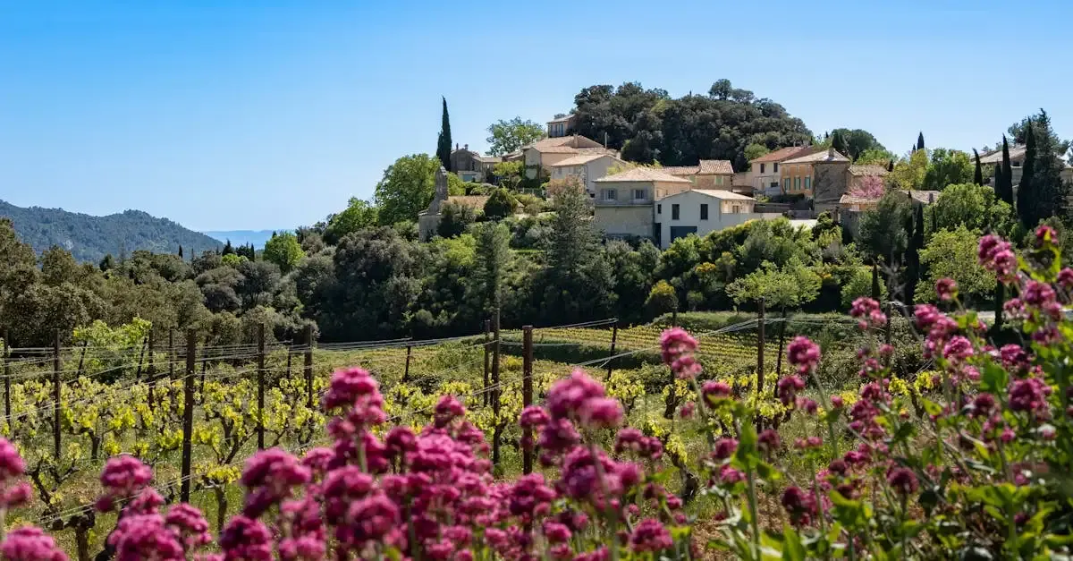 Carnet de voyage : Le Soleil de Provence authentique