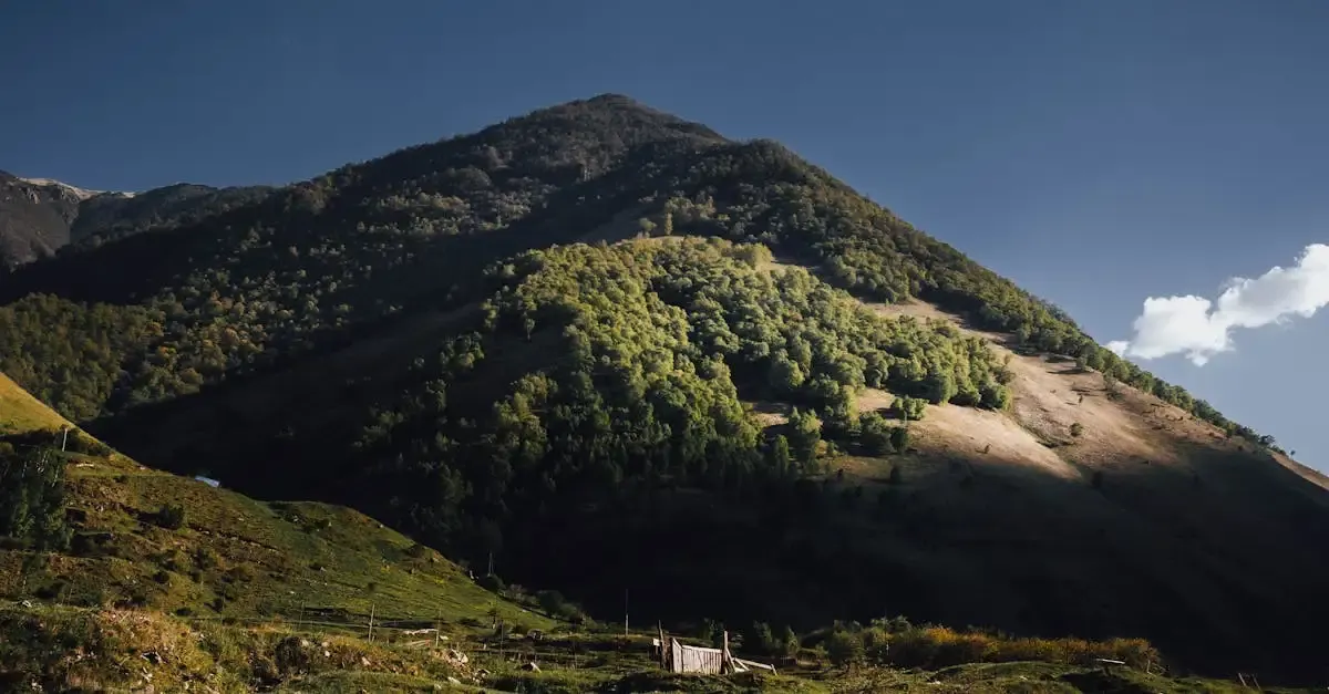 Carnet de Voyage Mondial : Conseils et Destinations Tourisme