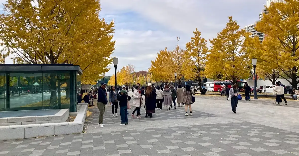 Carnet de voyage tokyo