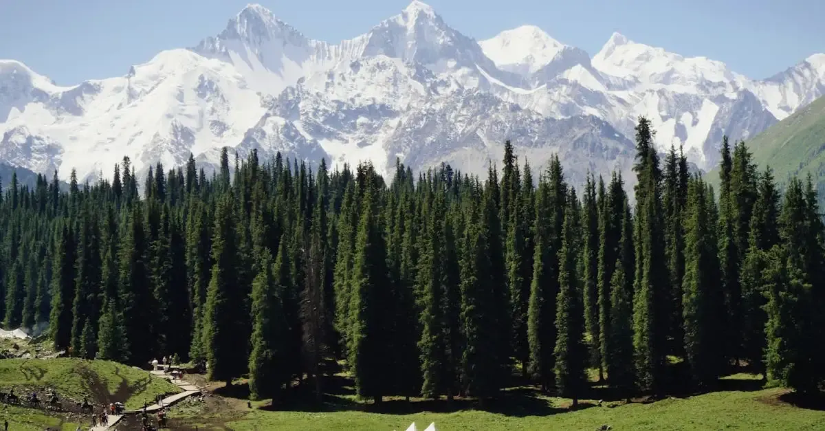 Carnet de voyage xinjiang