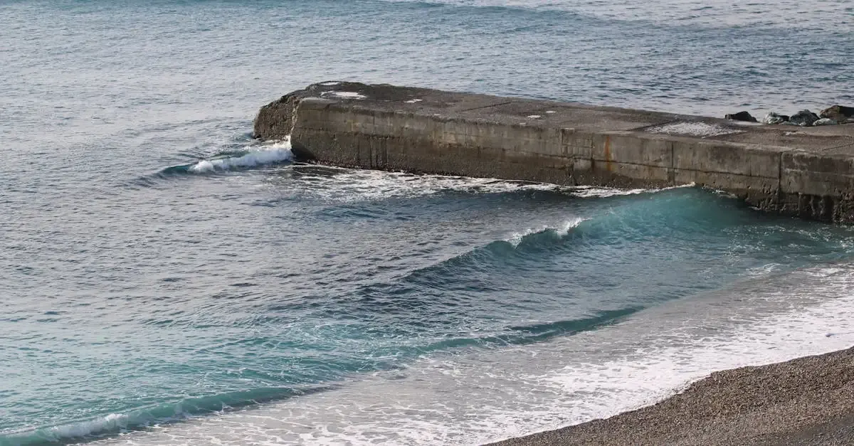 Carnets de Voyage : Épisode 1/2 à Découvrir sur Vimeo