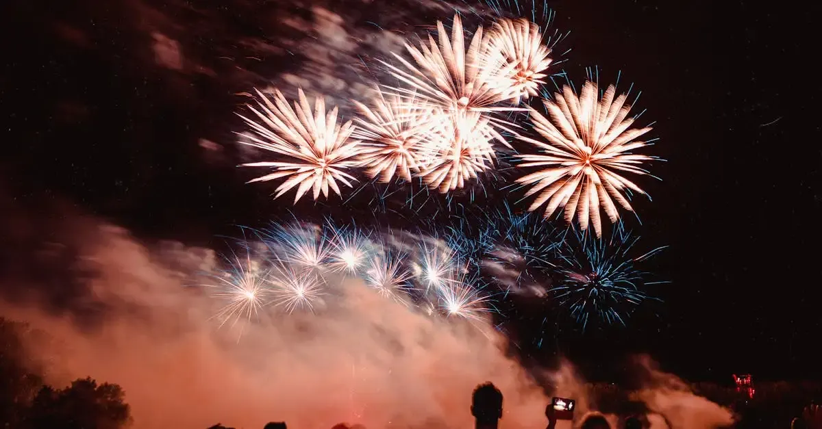 Festival carnet de voyage clermont ferrand 2024