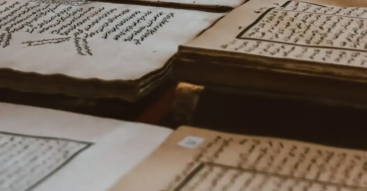 La description dans le récit de voyage