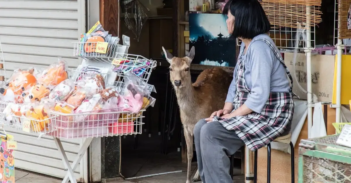 Récit de voyage japon