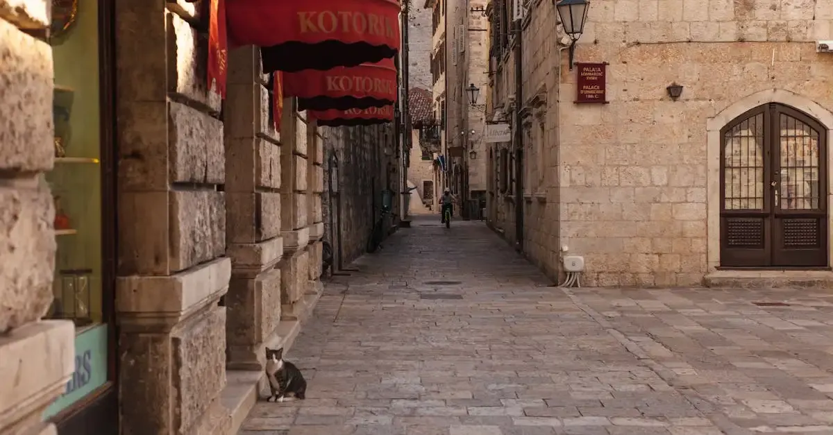 Récit de voyage à kotor