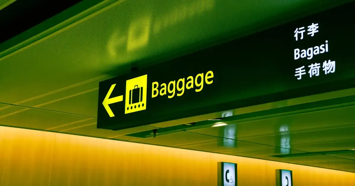 Traduction de carnets de voyage : astuces et guide pratique