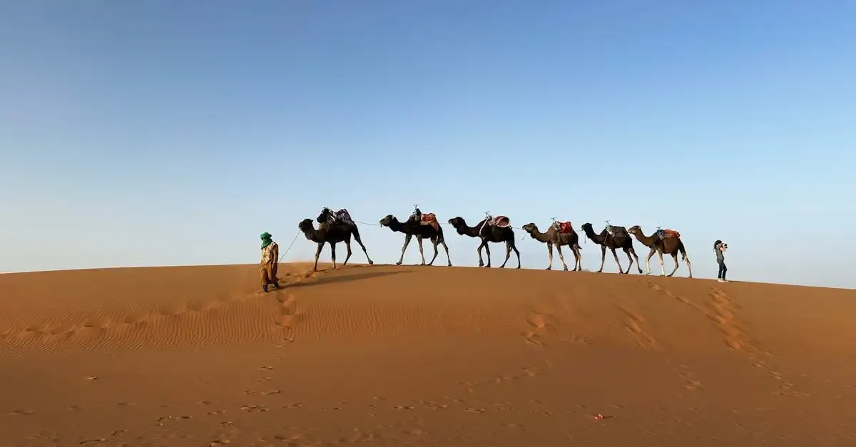 Un récit court et simple de voyage à marrakech