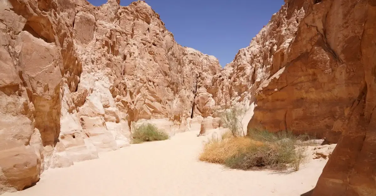 Un récit de voyage au sahara