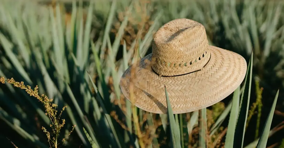 Le charme des haciendas : retour sur une escale mexicaine authentique