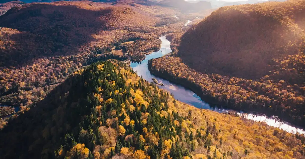 Jacques cartier récit de voyage