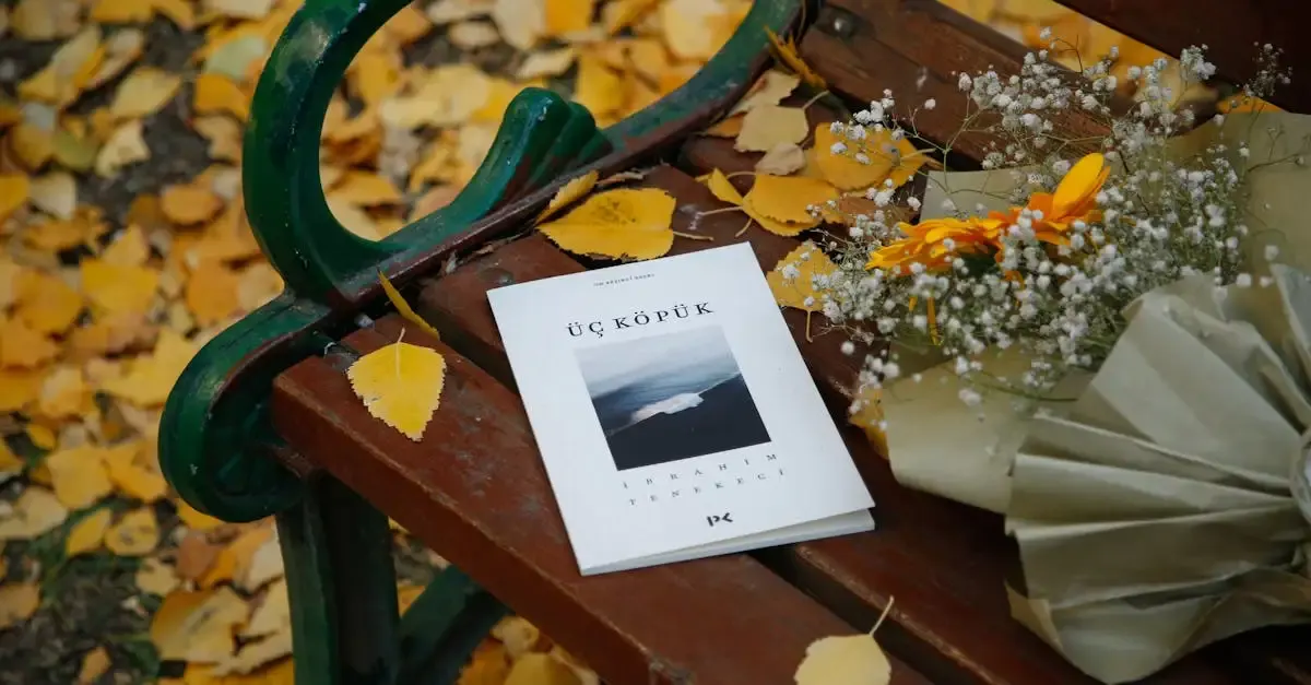Récit de voyage livre