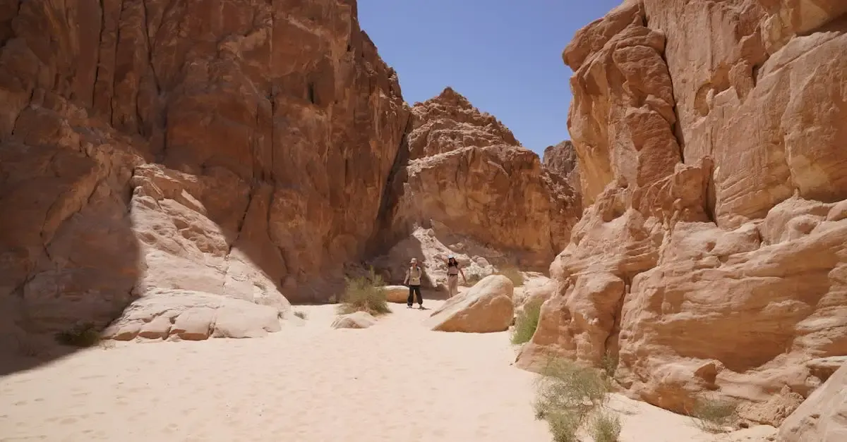 Récit de voyage dans le désert