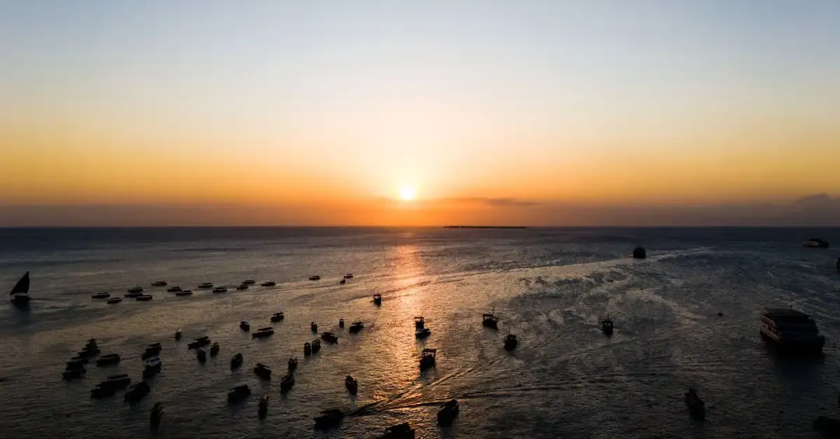 Récit de voyage zanzibar